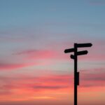 Where do we go from here? Research priorities for metabolic interventions in severe mental illness Where do we go from here? Research priorities for metabolic interventions in severe mental illness