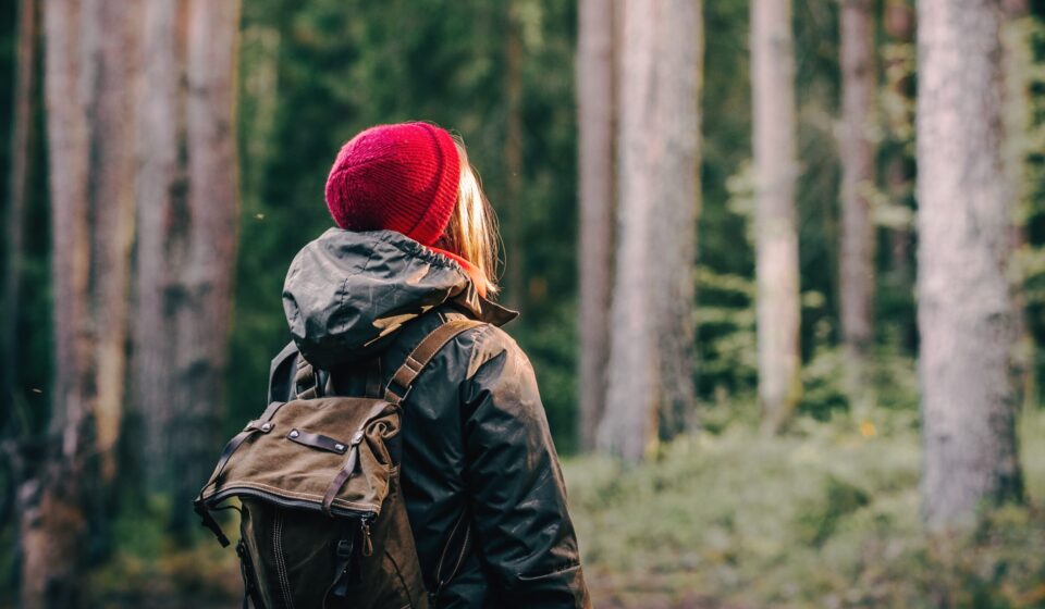 Beyond the red hat: brain networks in premenstrual dysphoric disorder