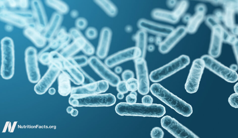 Feeding Our Gut Microbiome for Better Health